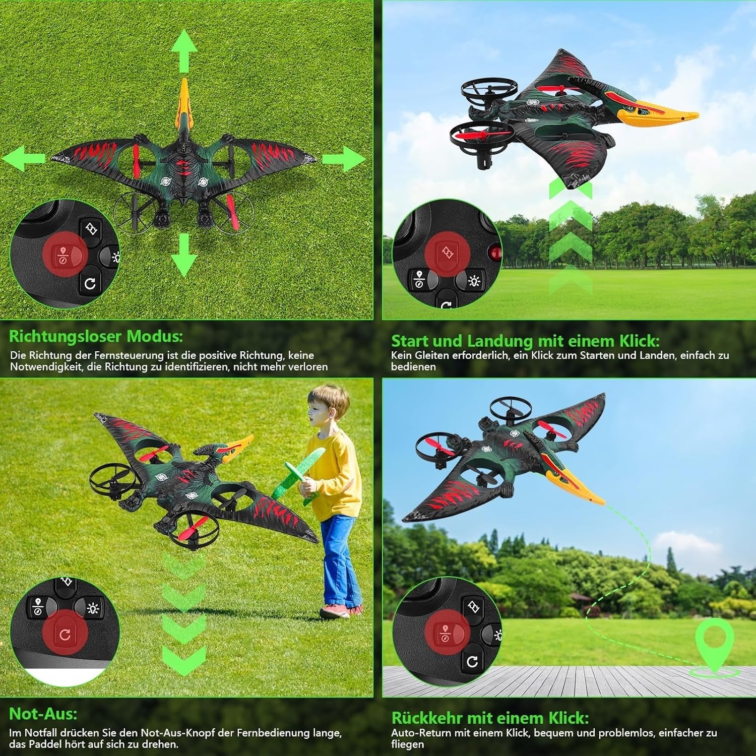 Dragon Remote Controlled Aeroplane