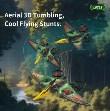 Dragon Remote Controlled Aeroplane
