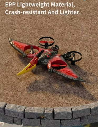 Dragon Remote Controlled Aeroplane